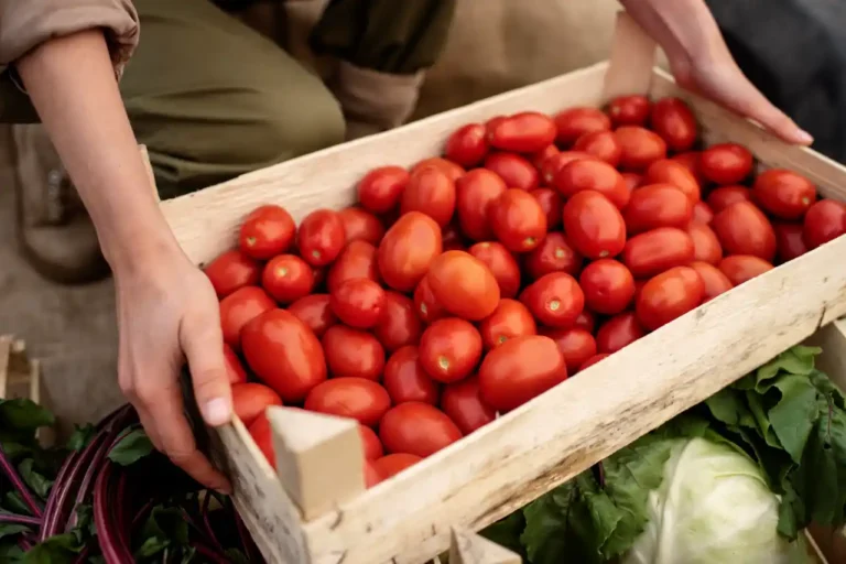 La Floride célèbre le tarif de la tomate mexicaine mais d'autres États alertent l'inflation
