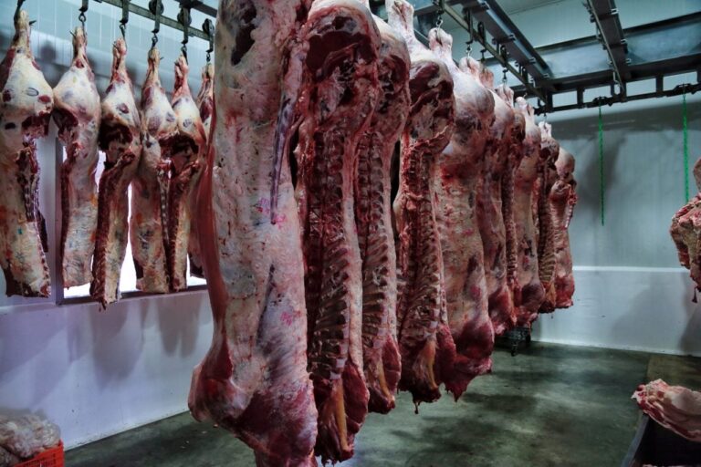 La Chine impose des restrictions sur les importations de bœuf pour protéger son industrie nationale