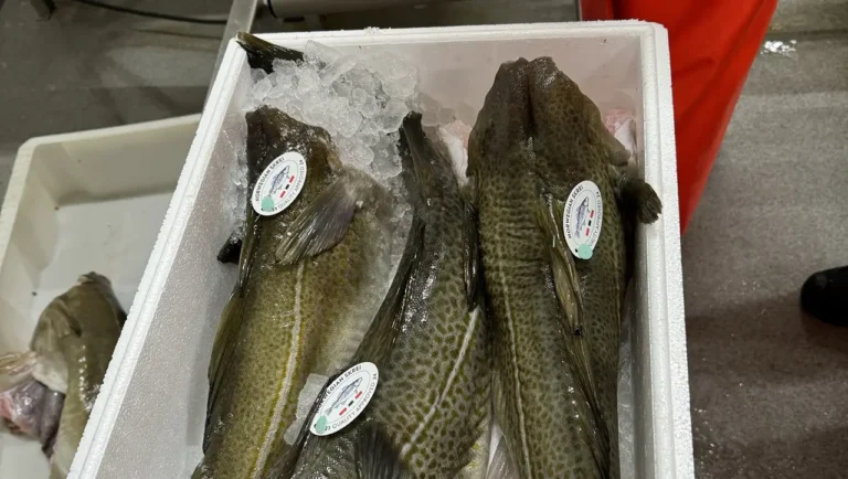 La Norvège présente le Mexique comme un marché stratégique et en croissance rapide pour son cabillaud