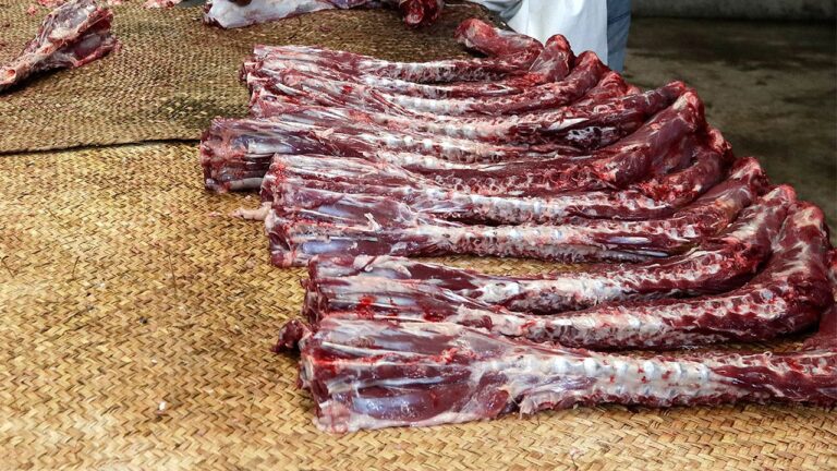 Le Brésil dépasse les États-Unis en tant que premier producteur de viande bovine, atténuant ainsi la contraction de l'offre mondiale.