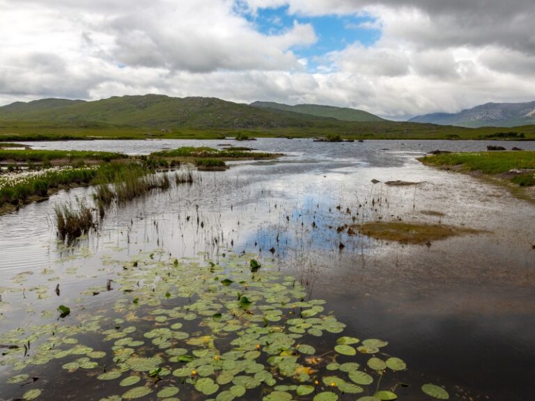 L'EPA alloue 6,5 millions d'euros à 24 projets lors du dernier appel à la recherche