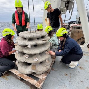 Des scientifiques misent sur les récifs coralliens imprimés en 3D pour revitaliser la vie marine