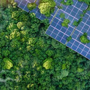 Du bleu au vert : l’ancienne policière devenue ingénieure durable