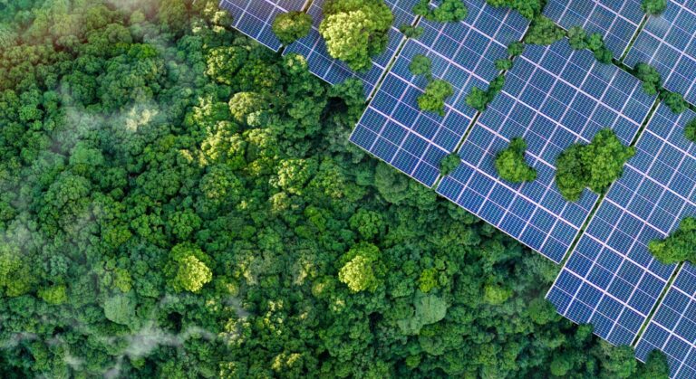 Du bleu au vert : l’ancienne policière devenue ingénieure durable