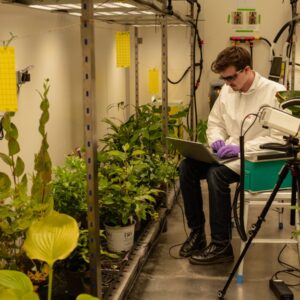 Oracle et Wild Bio collaborent pour faire progresser l’agriculture basée sur l’IA