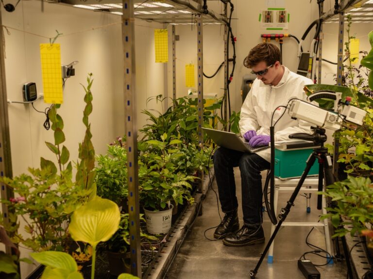 Oracle et Wild Bio collaborent pour faire progresser l’agriculture basée sur l’IA