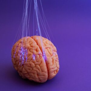 Quel impact la stimulation cérébrale pourrait-elle avoir sur la façon dont nous développons de nouvelles compétences ?