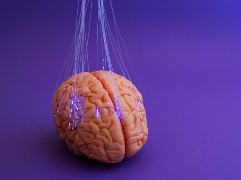 Quel impact la stimulation cérébrale pourrait-elle avoir sur la façon dont nous développons de nouvelles compétences ?