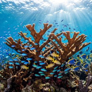 Comment les « points positifs » mondiaux peuvent éclairer les efforts environnementaux