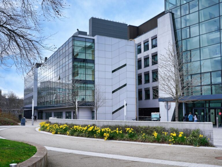 L'institut UCD AI est lancé au sommet AI in Science